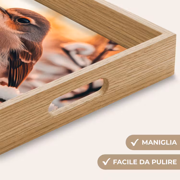 Vassoio - Uccello - Ramo - Inverno - Animali - Neve — 8
