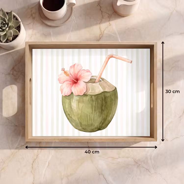 Vassoio - Noce di cocco - Bevanda - Tropicale - Illustrazione - Estate — 7