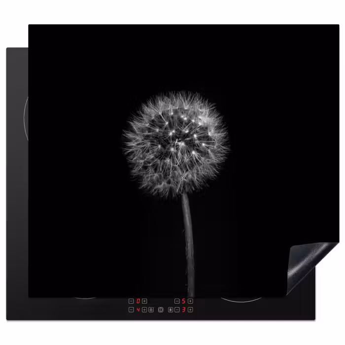 Protezione piano induzione - Notte stellata da Dandelion